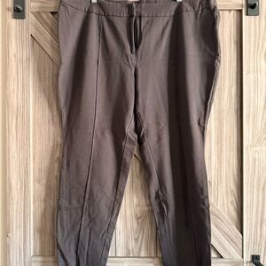 Premise Chocolate Brown Women's Dress Pants